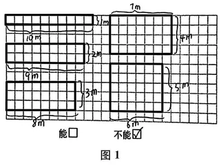 “瞻前”又“顾后”，“体验”再“感悟”