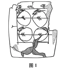皮亚杰认知发展理论对小学数学教学的启示