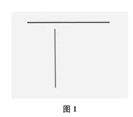 让量感自然生长 