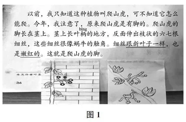 图示批注在阅读教学中的使用
