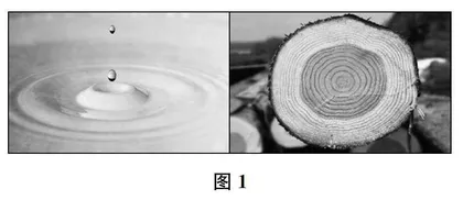 多元操作助力数学抽象