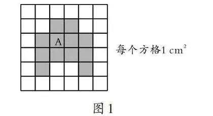 在小学数学“图形与几何”教学中渗透转化思想