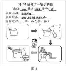 从选材到评价：习作教学例谈 