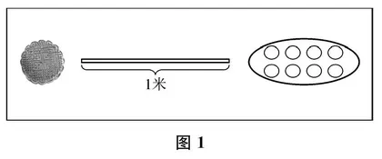 紧扣知识本质，建构分数概念