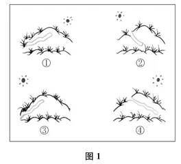 “智美”：学科课程中的美育 