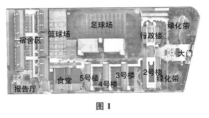 实地测量，发展量感  
