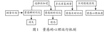 量感的本质内涵、心理机制和培育路径