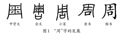 基于“说文解字”的概念教学设计及实践