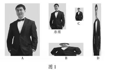审辩式学习：寻找像与不像的奥秘