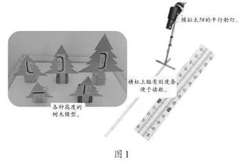 让数学素养在活动中自然“生长”