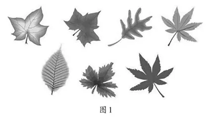 基于生活教育理念，打造数学魅力课堂 