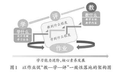 以作业为纽带，建构“教—学—评”一致性的单元整体设计范式