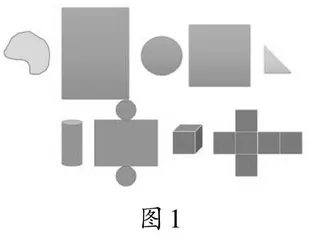 聚焦概念本质　靶向素养提升