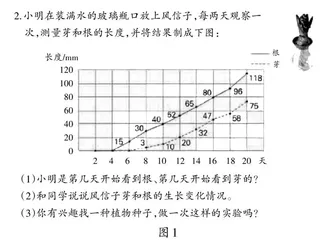 咬文嚼字，提升学生思维品质