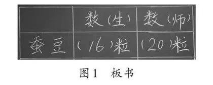 综合与实践：培养学生数学直观想象力的沃土 
