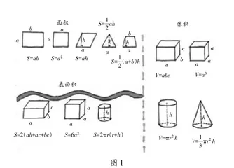 基于数学理解的总复习教学路径探索  