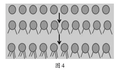 “数”“形”交错促理解