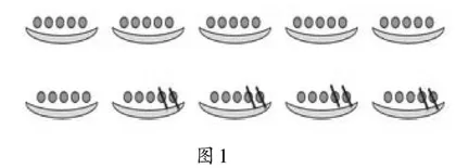 聚焦“调整”　经历过程