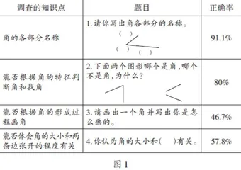 优化数学活动 促进概念理解