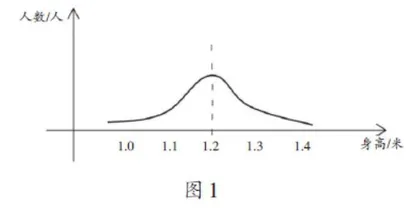 基于APOS理论的小学数学概念教学案例研究