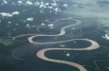 “河流之王”病了,南美北部变泽国3
