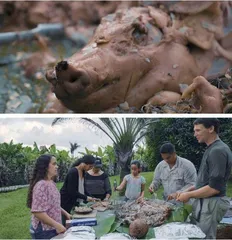 Aloha!舌尖上的捞捞、烤猪与伊姆6