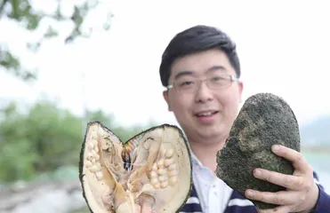 直播开蚌有多少“套路”?2