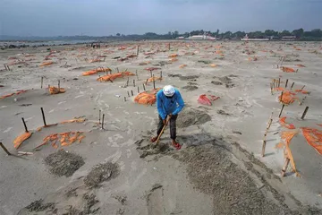 霉菌来袭,印度躺平2
