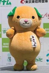 万事皆可吉祥物5