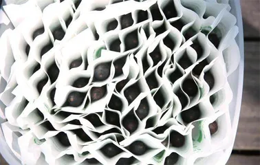 吃,不能解决入侵物种4