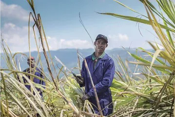 丰收节:以收获的名义4