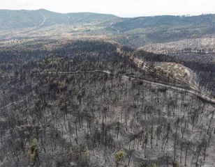 “世界山火”:末日恐惧再次来袭3
