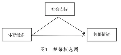 社会支持在体育锻炼对大学生抑郁情绪影响中的中介作用