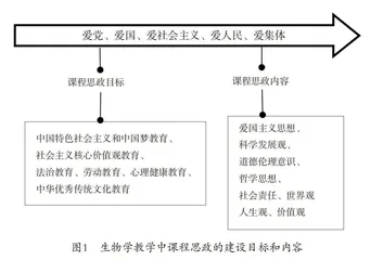浅论课程思政与高中生物学教学的融合