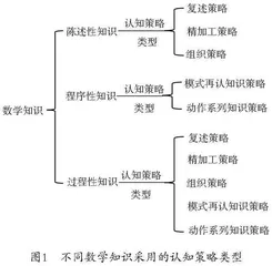 认知策略在数学教学中的渗透