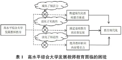 教育现代化背景下高水平综合大学发展教师教育路径探究0
