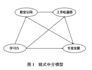 民族地区乡村教师学习力对教师专业发展的影响机制