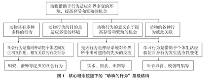 初中生物学科教学设计策略探析