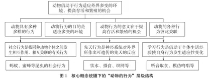 初中生物学科教学设计策略探析