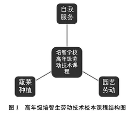 培智学校高年级学生劳动技术教育现状与课程改革研究