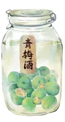 梅子,时间的故事2