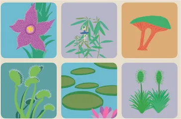 进击的植物星球5