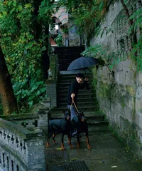 山水之间,避世疗愈4