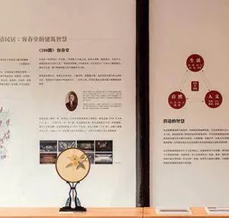 从这里来,回这里去8