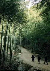 宜兴:买田阳羡吾将老3