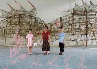 鱼从哪里来