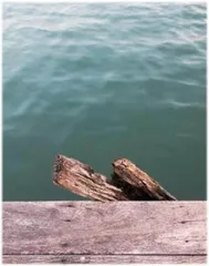 回到长大的地方旅行1