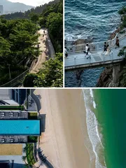 深圳以东:去山海间呼吸来自太平洋的风5