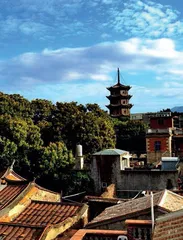 辛云来 泉州散步,呷茶,海边放个假13