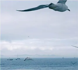 大连夏日海之恋